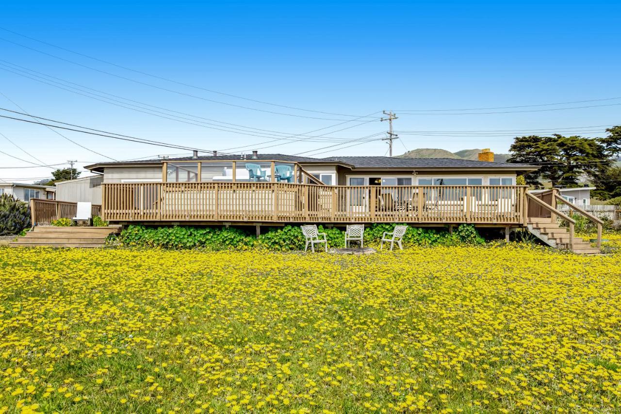 Cozy Carmet Cottage 보데가베이 외부 사진